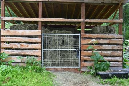 Hay Shed